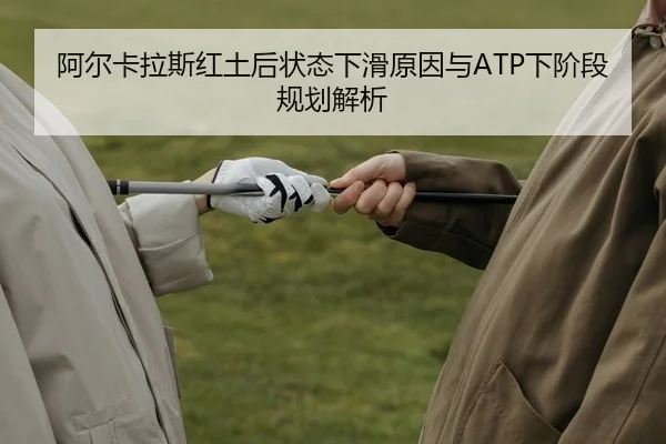 a-er-ka-la-si-hong-tu-hou-zhuang-tai-xia-hua-yuan-yin-yu-xia-jie-duan-gui-hua-jie-xi-2-998.jpg
